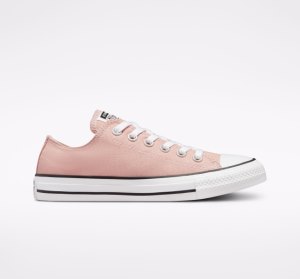 Dámské Nízké Converse Chuck Taylor All Star Seasonal Růžové | 06OMXPREN