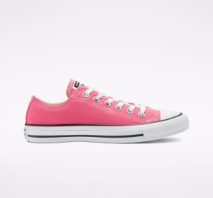 Dámské Nízké Converse Chuck Taylor All Star Seasonal Růžové | 08WMYRHXF