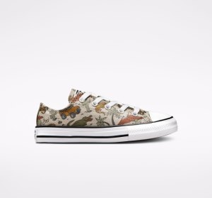 Dětské Plátěné Boty Converse Chuck Taylor All Star Desert Explorer Viacfarebný | 15GSVFRZI