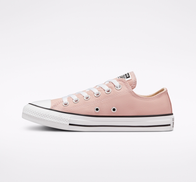 Pánské Plátěné Boty Converse Chuck Taylor All Star Seasonal Růžové | 04PVINYHX