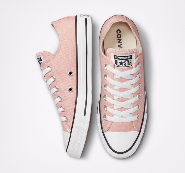 Pánské Plátěné Boty Converse Chuck Taylor All Star Seasonal Růžové | 04PVINYHX