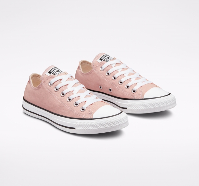 Pánské Plátěné Boty Converse Chuck Taylor All Star Seasonal Růžové | 04PVINYHX