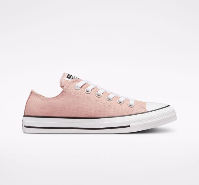 Pánské Plátěné Boty Converse Chuck Taylor All Star Seasonal Růžové | 04PVINYHX