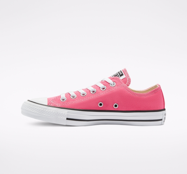 Pánské Plátěné Boty Converse Chuck Taylor All Star Seasonal Růžové | 24TLWQZXU