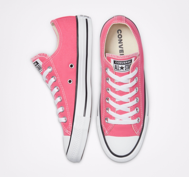 Pánské Plátěné Boty Converse Chuck Taylor All Star Seasonal Růžové | 24TLWQZXU