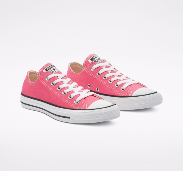 Pánské Plátěné Boty Converse Chuck Taylor All Star Seasonal Růžové | 24TLWQZXU